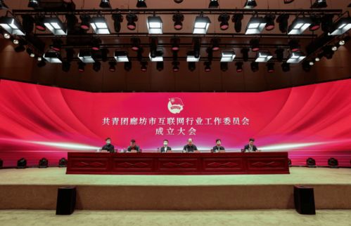 共青團廊坊市互聯網行業工作委員會正式成立，為本地企業網站建設注入青春動能